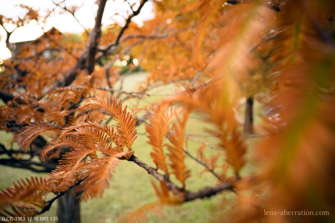 コシナ超広角】Voigtlander COLOR-SKOPAR 21mm F4 P レビュー | 収差Love