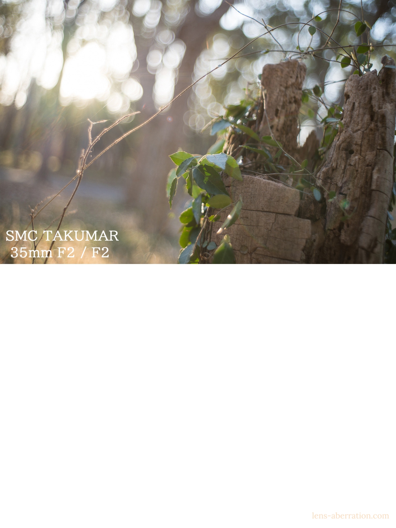 smc-takumar-35mm-flare-8.jpg