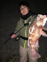 ライトゲームロッド - LEGAME