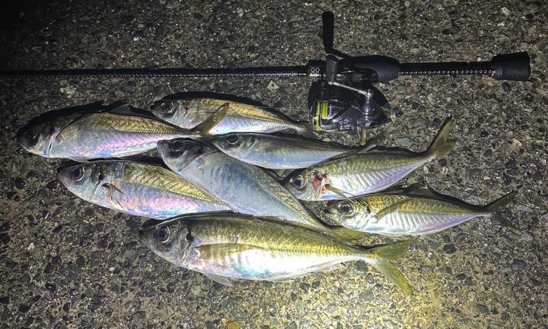 X-ARMATURA 射抜 （しゃばつ） - LEGAME