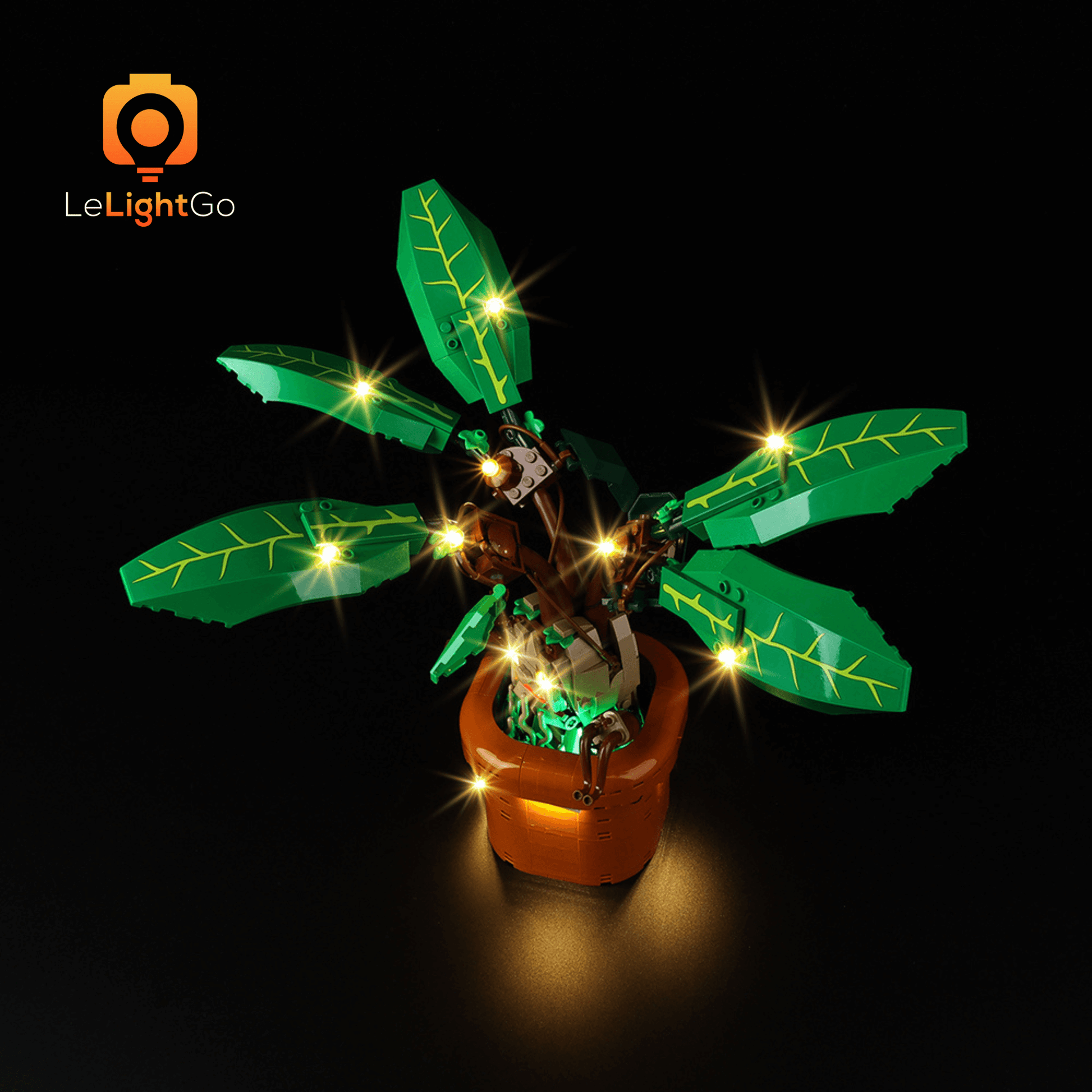 Light Kit For Mandrake 76433 – LeLightGo