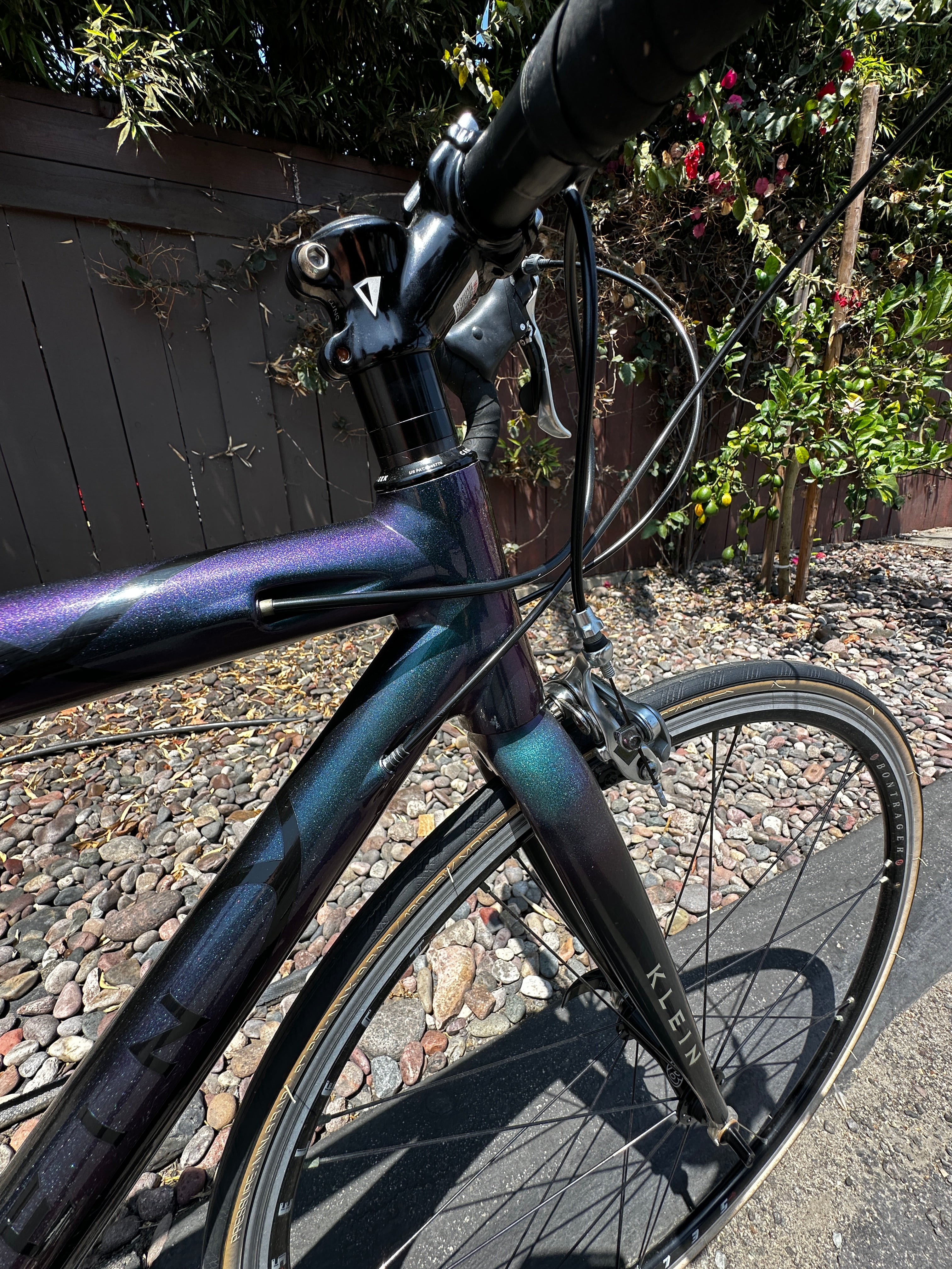 Klein Q Carbon Race – Leucadia Cyclery