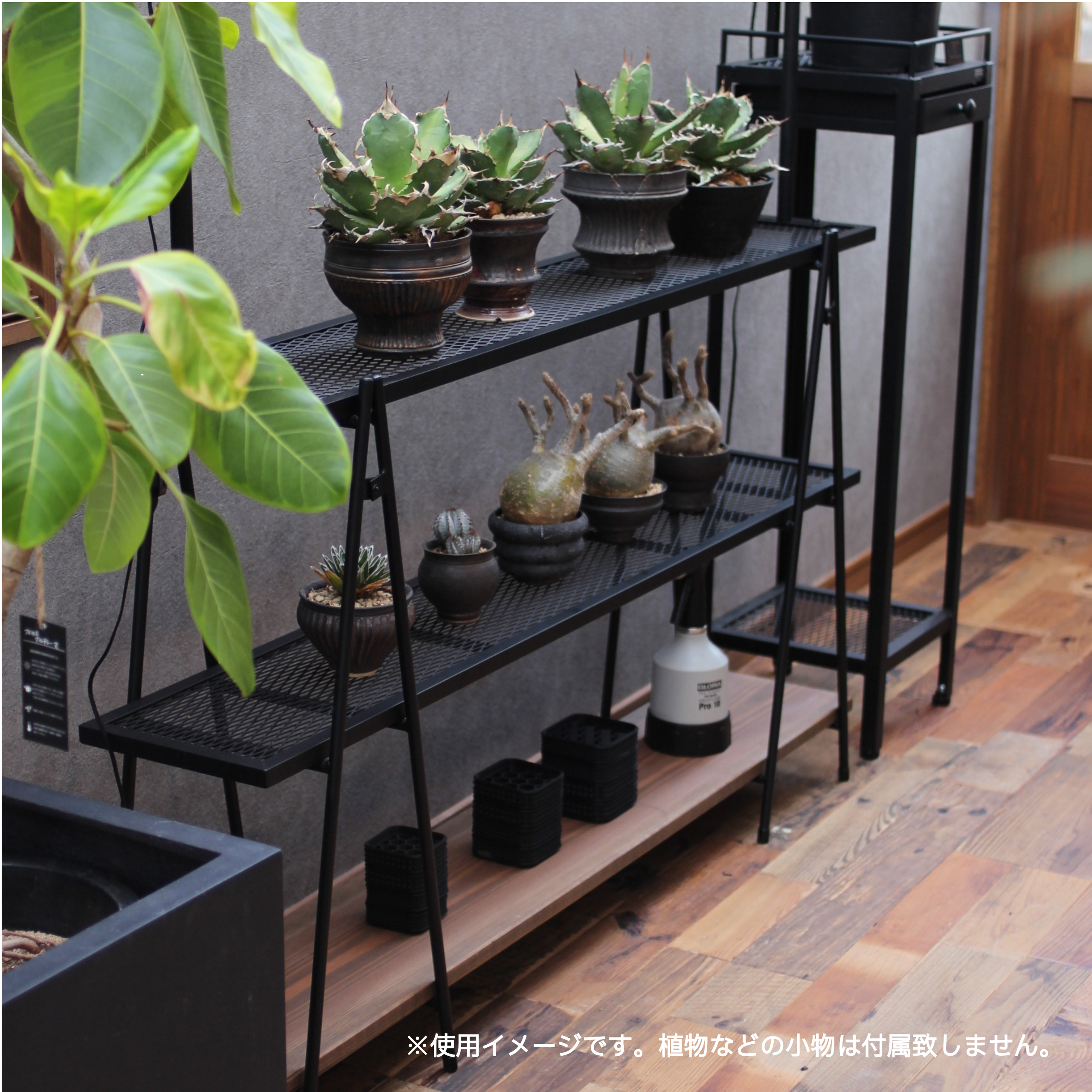 アイアンシェルフ