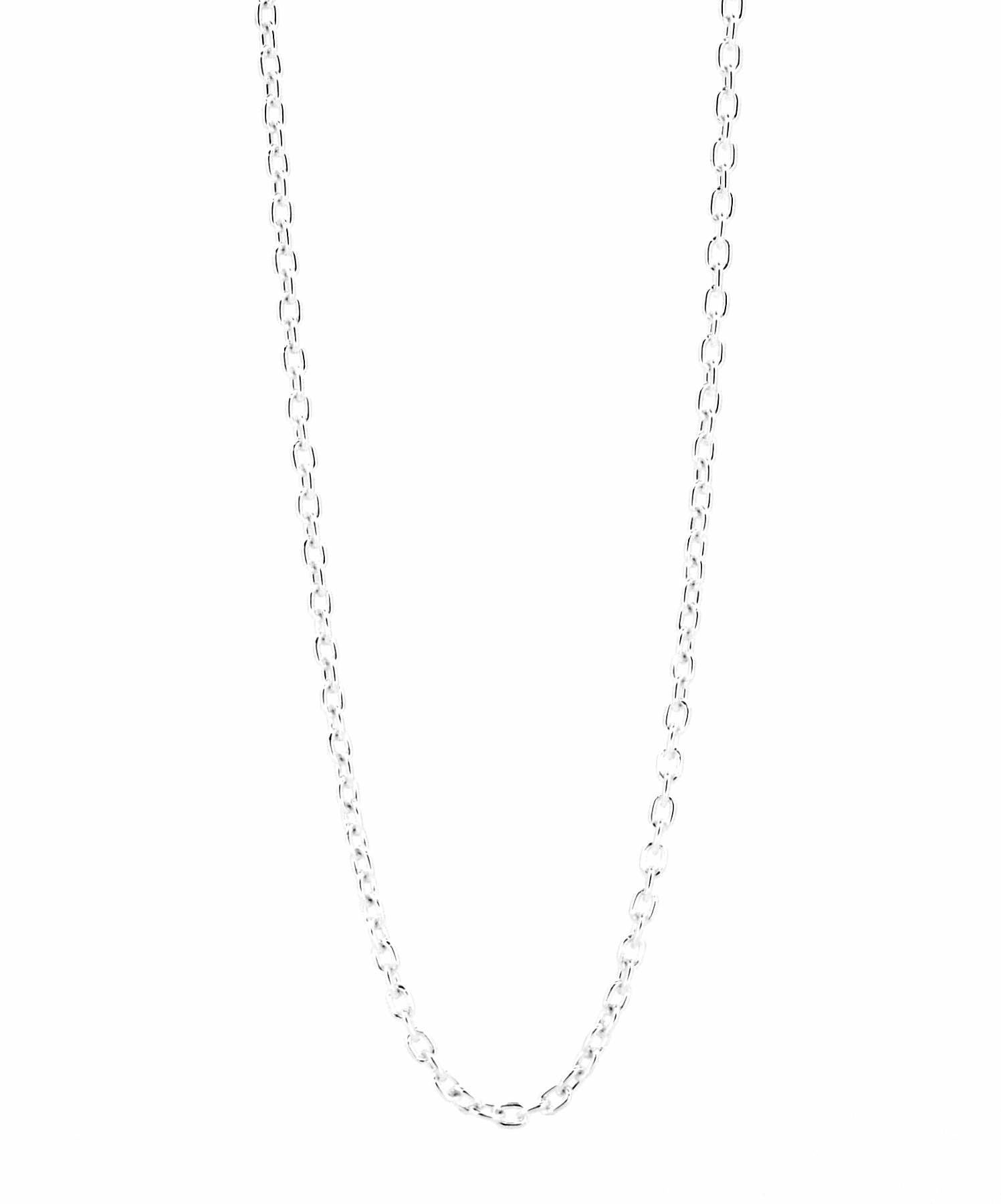 スモールシルバーチェーンネックレス/アズキ/シルバー925 | LION HEART