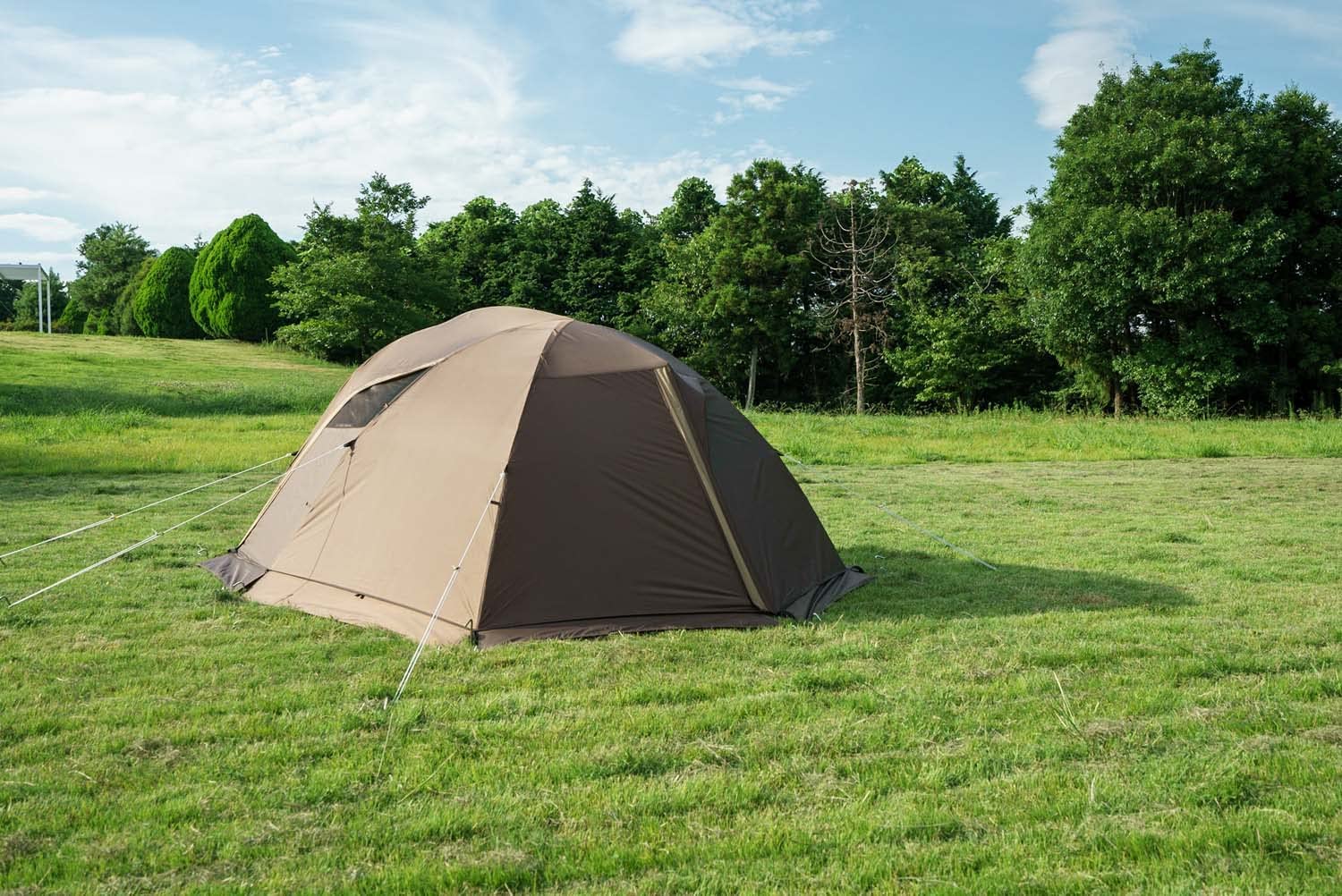 レビュー] オガワ Ogawa ステイシーファルダ – これは究極のおすすめ