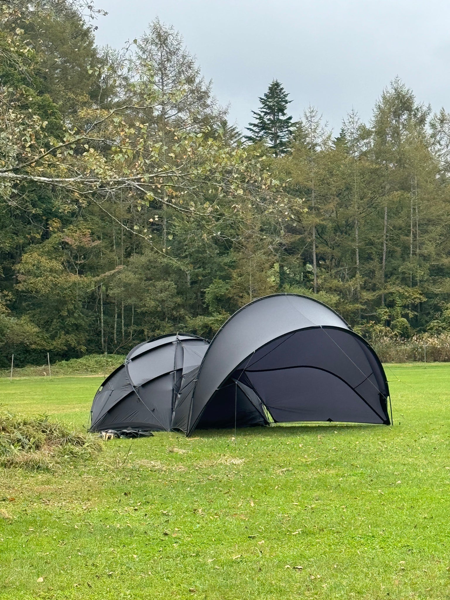 cave living room +TPU doorセット TOPOカモ – LOG