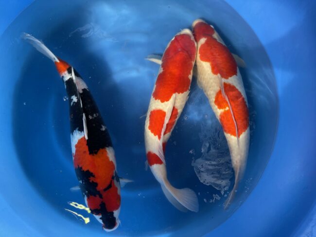 どんなに試練があっても数字から逃げない大切さを学びました。｜Dojo