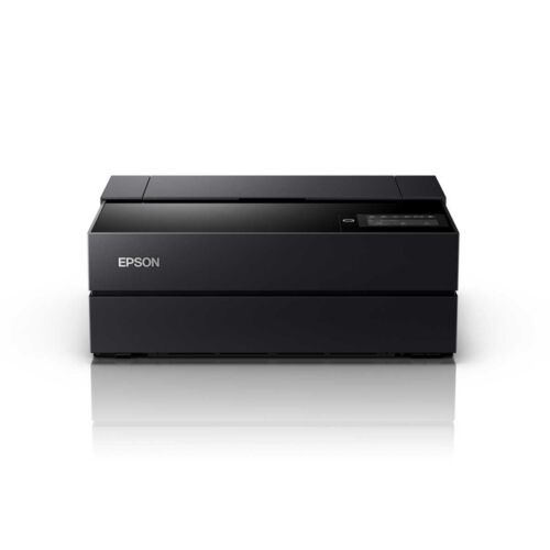 EPSON SC-PX5VⅡ - LIGHT UP RENTAL