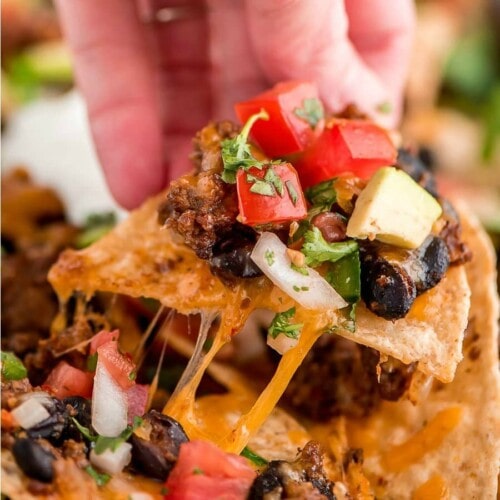 loaded-nachos-resize-2-500x500
