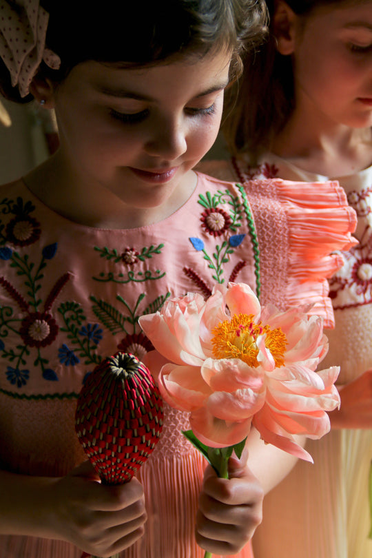 Bonjour diary – little flamingo