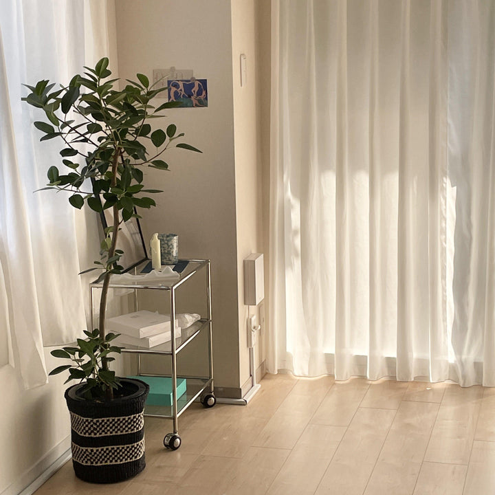 IMG_3745_720x.jpg?v=1741849965