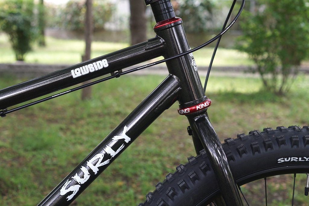 SURLY* low side / BUILT BY BLUE LUG - CUSTOMER'S BIKE CATALOG