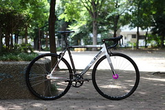 CINELLI* mash parallax / BUILT BY BLUE LUG - CUSTOMER'S BIKE