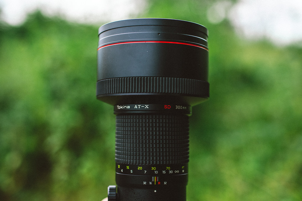 サンニッパで彼岸花 Tokina AT-X SD 300mm F2.8 【作例集