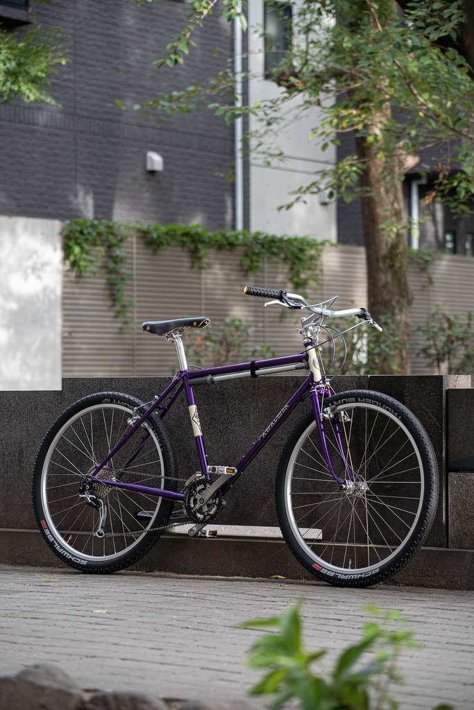 RIVENDELL* joe appaloosa / BUILT BY BLUE LUG - CUSTOMER'S BIKE