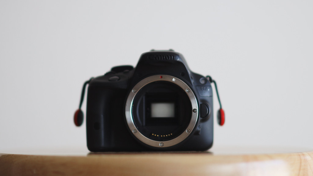 一眼レフカメラが心地良い瞬間｜絞り開放戦線