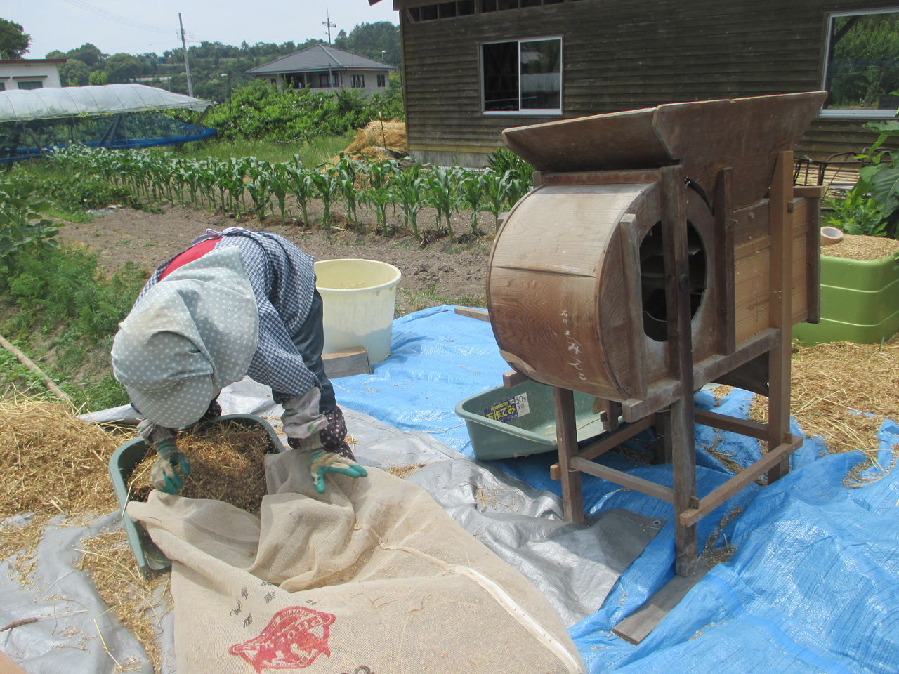 昔の農機具・・唐箕（とうみ） : 落合ブルーベリー園のblog