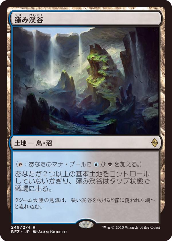 マジックザギャザリング 大地の知識(日本語) 2枚セット MTG 大地の