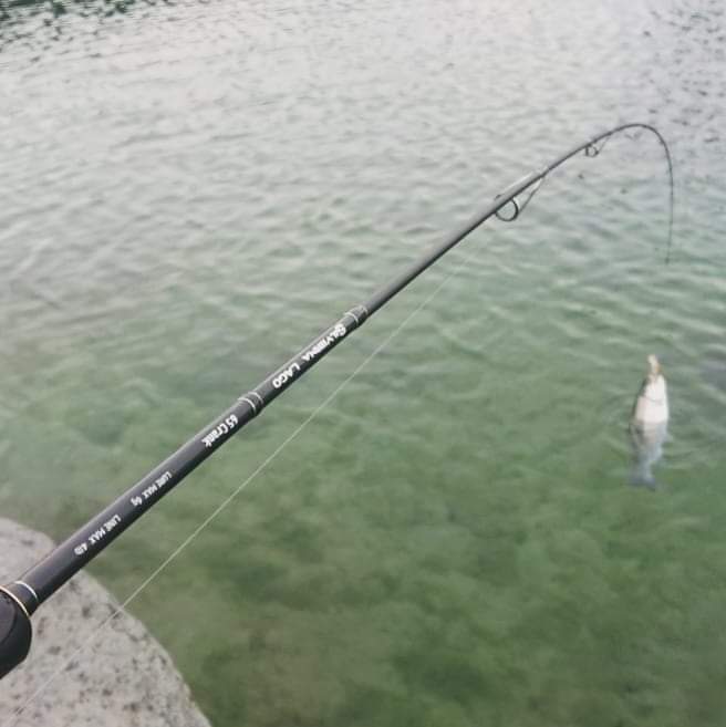 SILVERNA LAGO、59Bottom＆65Clankの実釣解説！ : テイルウォーク開発日記