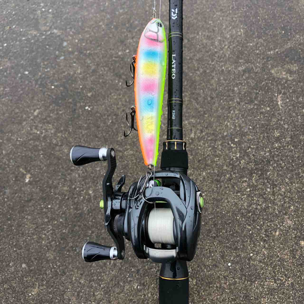 ベイトシーバス始めました【ロッド編】 : シーバス&ライトゲームな日々