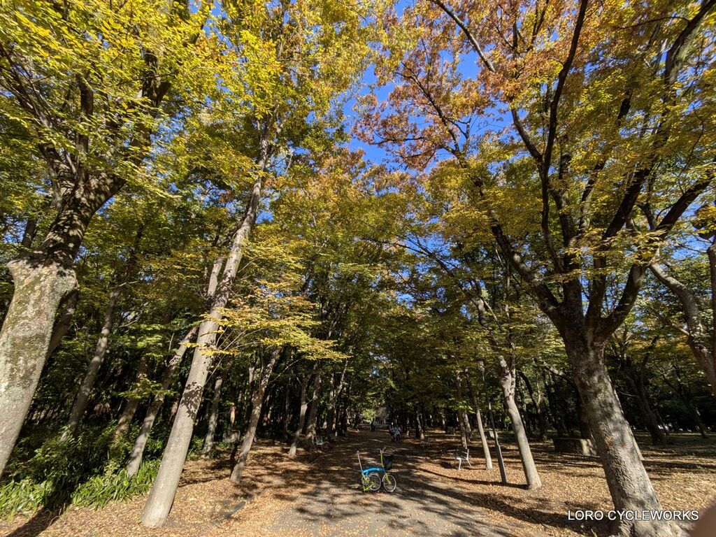 Carry Me用ソリッドタイヤホイールが再入荷しました。 : LORO CYCLE WORKS