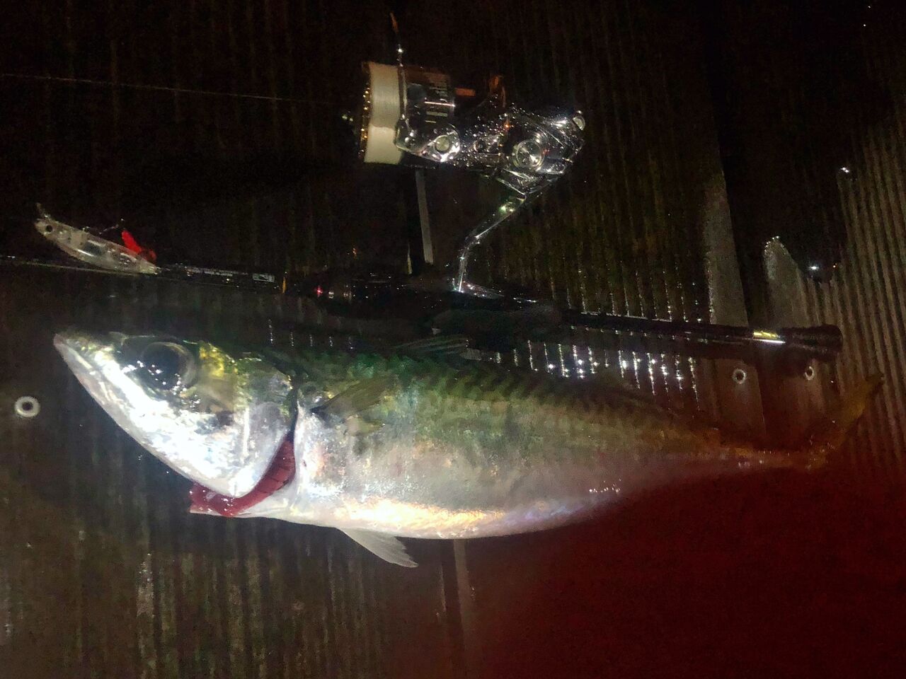 ロッド｜インプレ】19 月下美人 Air AGS 68L-T・R 〜 りんたこさん監修