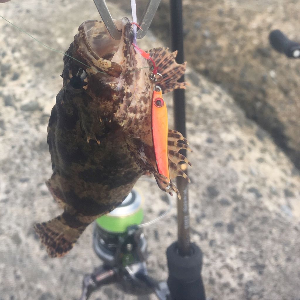 ロッド｜インプレ】19 ソアレ BB アジング S64UL-S : Gomoku釣りブログ