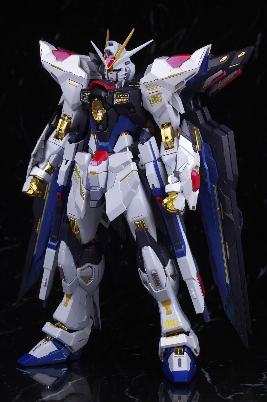 METAL BUILD ストライクフリーダムガンダム [METAL BUILD FESTIVAL