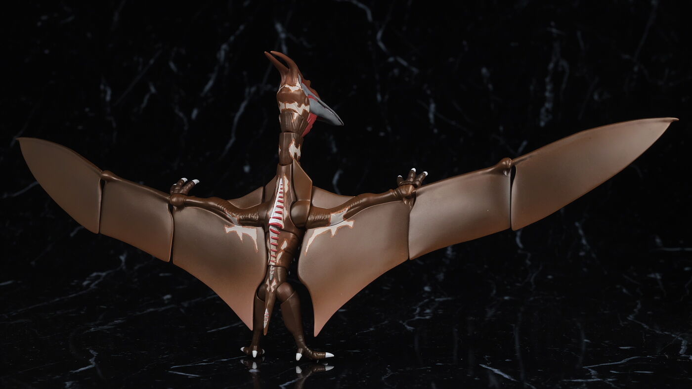 S.H.モンスターアーツ ラドン (2021) -第2形態- レビュー : はっちゃか