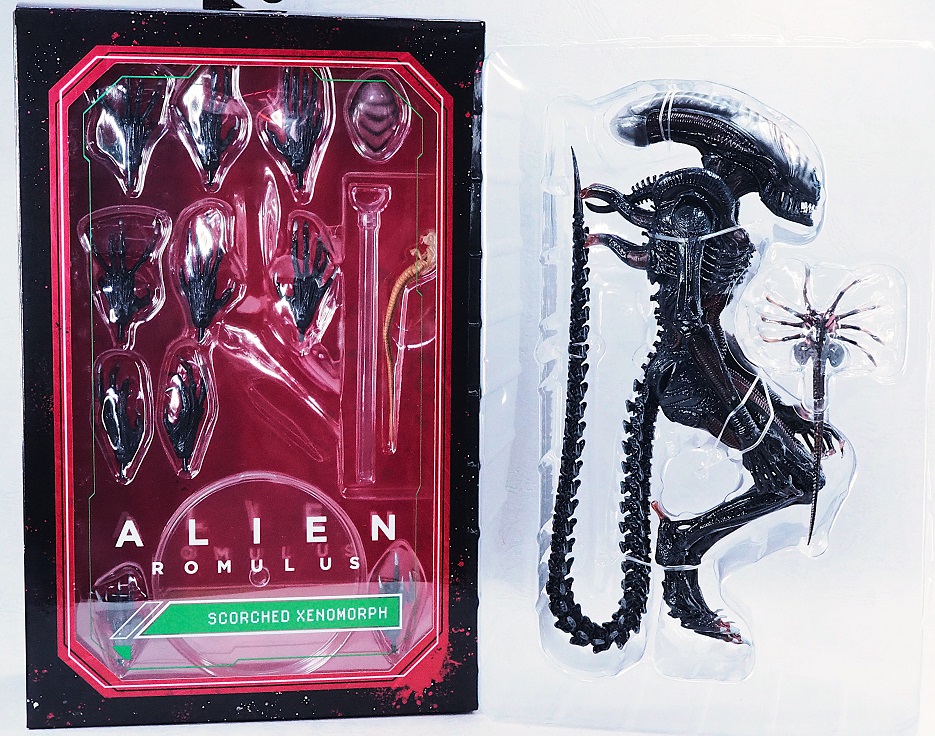 NECA スコーチド ゼノモーフ レビュー : おもちゃの巣（玩具レビュー）