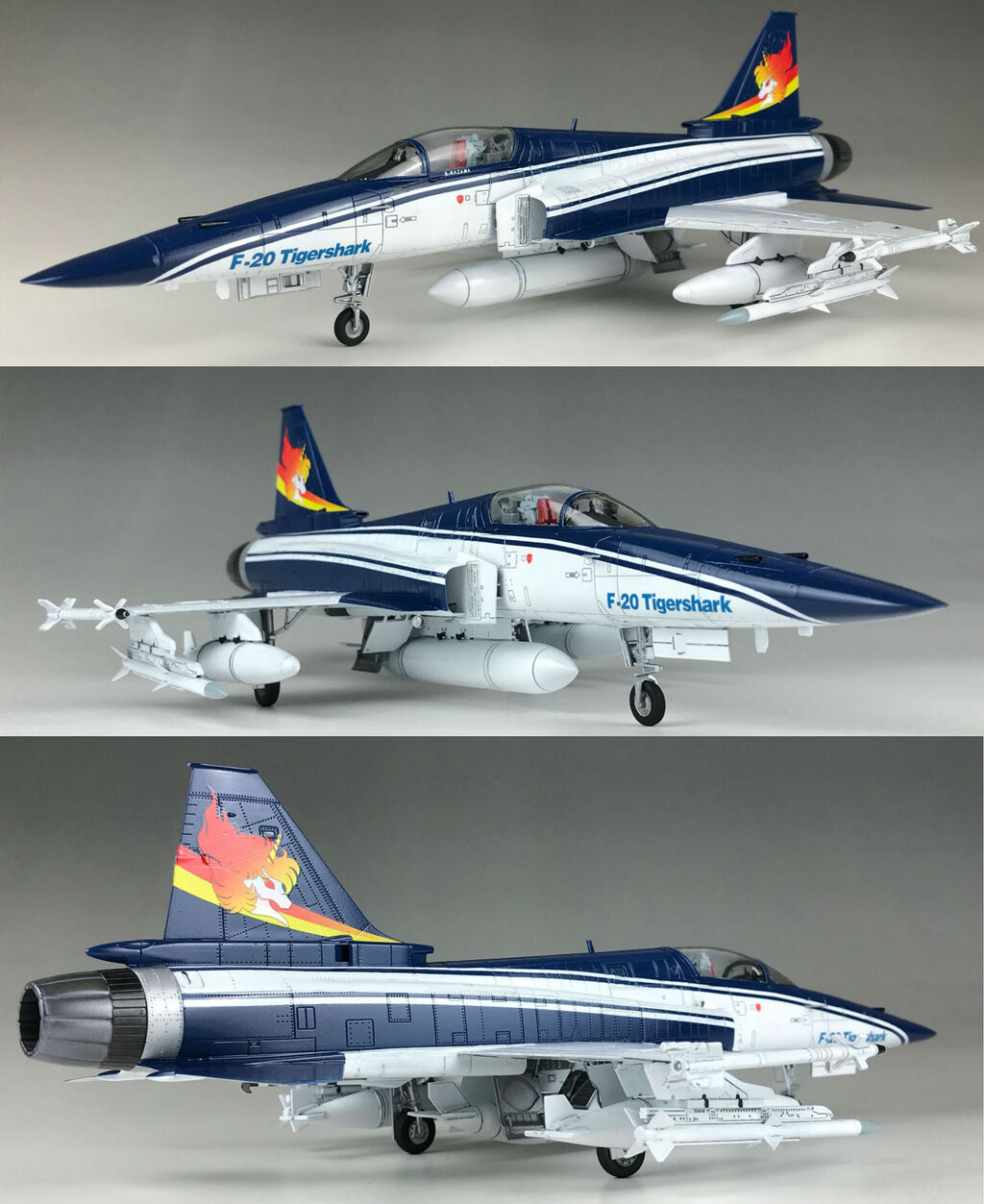 1/48 AREA-88 エリア88 F-20 タイガーシャーク 風間真 : 多摩工房