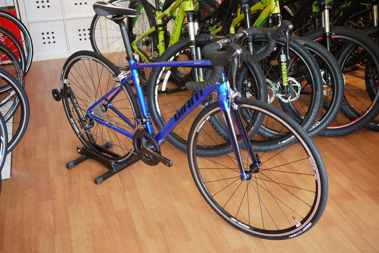 GIANT DEFY 2 2016年モデルが入荷！ : SBC 新着情報