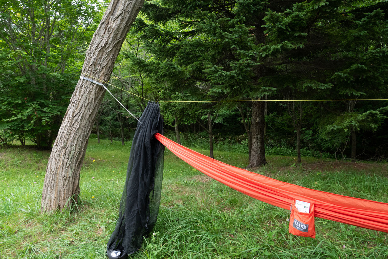 ハンモックで寝るなら是非 [Hummingbird Hammocks Warbler Net] : 山に