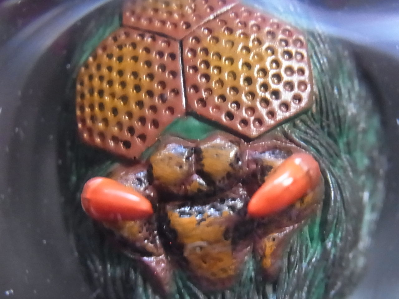 RAH220 No.09 蜘蛛男 : りぅまるのにっき ﾂｳﾞｧｲ