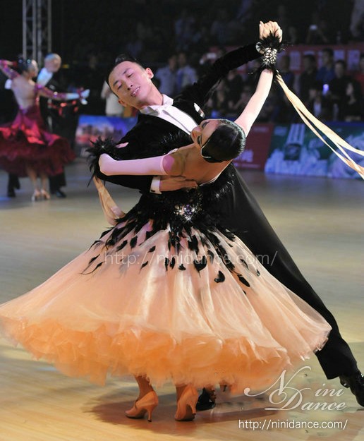 D514黒羽根とマロンベージュチュールのモダンドレス : 社交ダンス