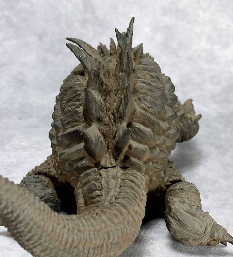 ツブコン商品③】マグラー 多々良島出現Ver.商品詳細 : CCPJAPAN