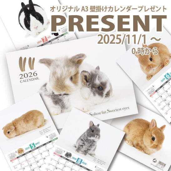 福袋情報！ : うさぎブログ うさぎのしっぽ公式ブログ「日々しっぽ」