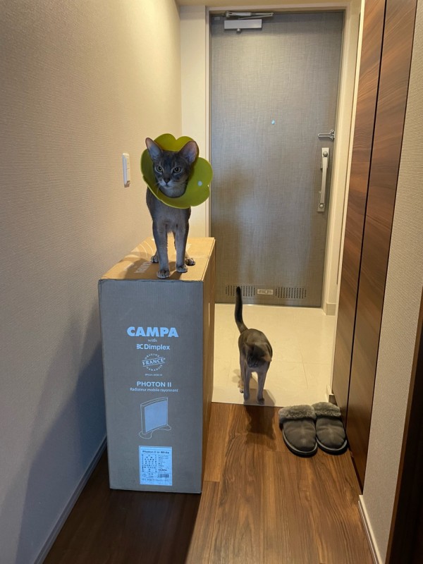 フランス製「CAMPA」のパネルヒーターが届いた♪ ポカポカ気持ちが良い