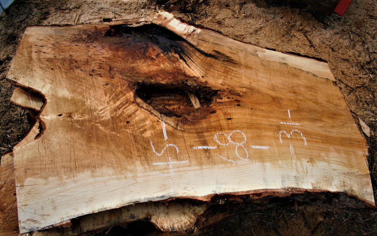 Willow Live Edge Wood Slabs - Live Edge Wood Craft