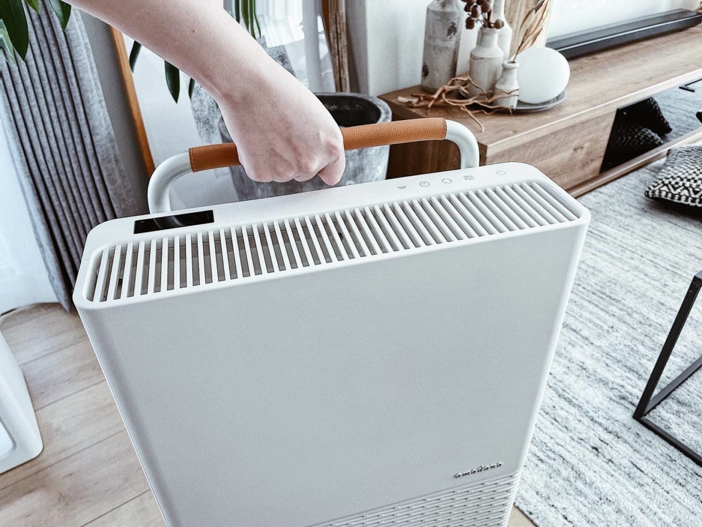 口コミ】amadana(アマダナ)空気清浄機PA-301の評価は？使って分かった