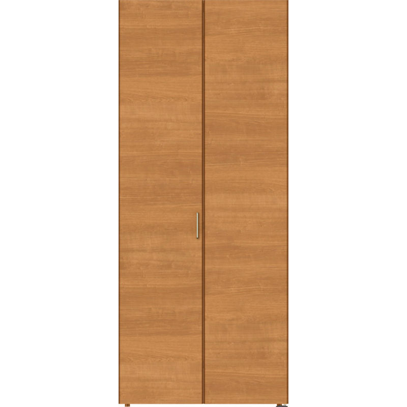 ラシッサS クローゼットドア 折れ戸 アウトセットタイプ ミラーなし