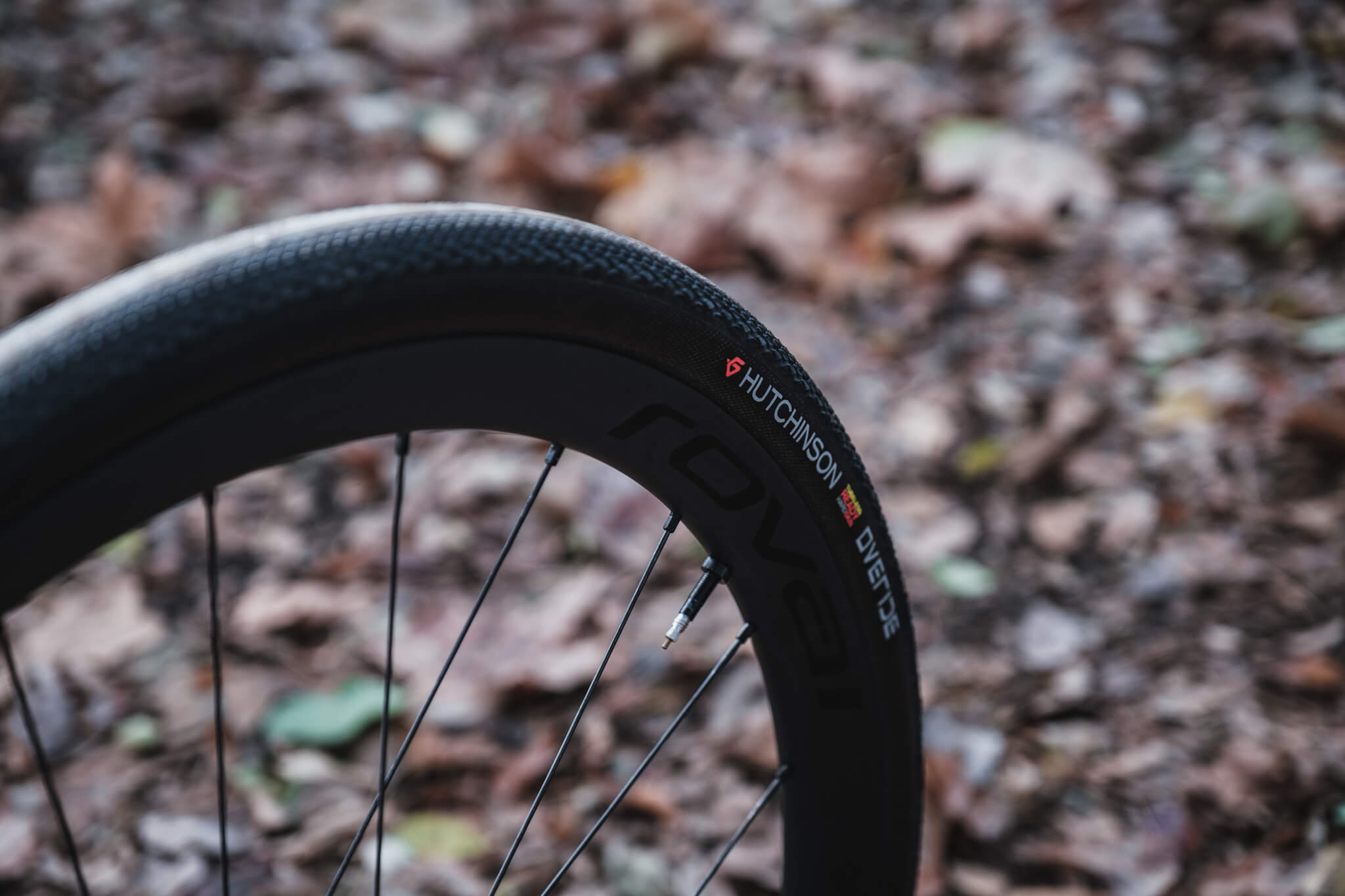 Roval Terra CLレビュー：舗装路&グラベル双方で活きる軽量カーボン