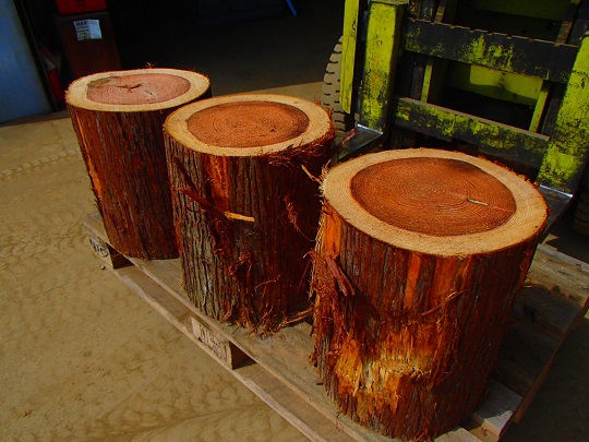 杉 丸太 輪切り テーブル 椅子 DIY 木工工芸