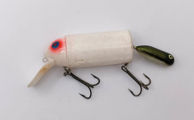 ビッグバド再燃の兆しに見る日本のバスフィッシングの未来についての