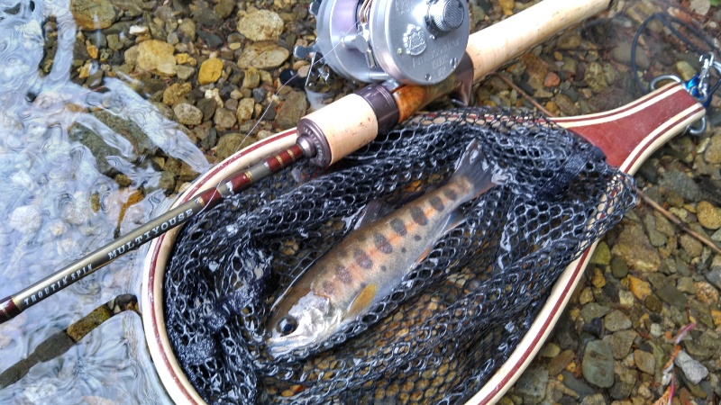 インプレ】アブ アンバサダー 1500C IAR【渓流ベイトフィネスに