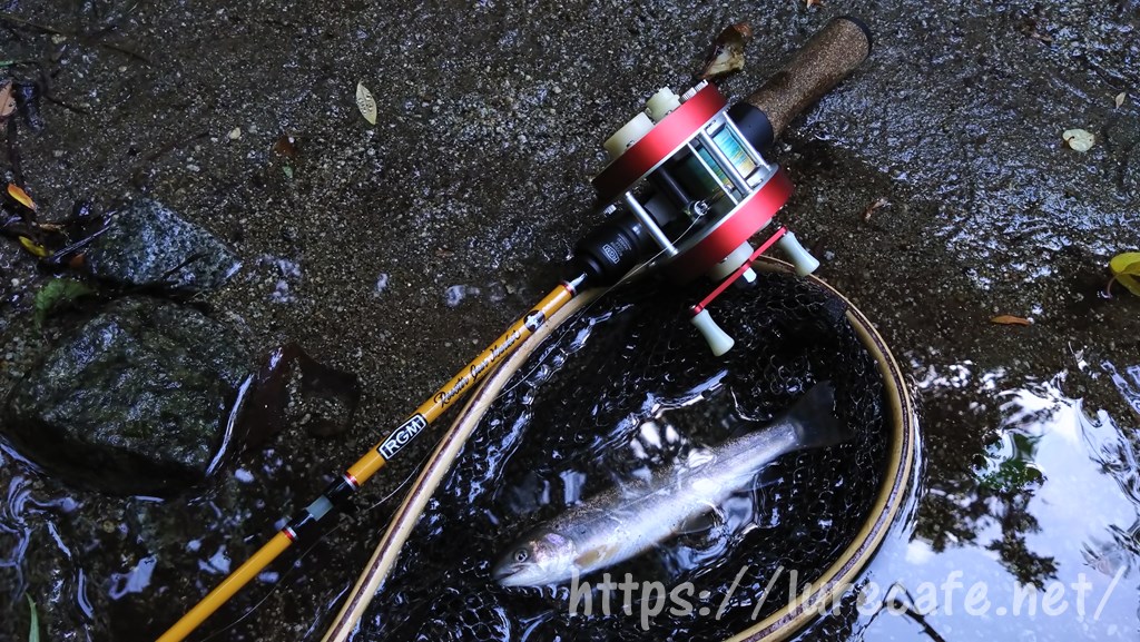 インプレ】RGM Spec.T Tsugi 135B【待望のグラスソリッドのパック