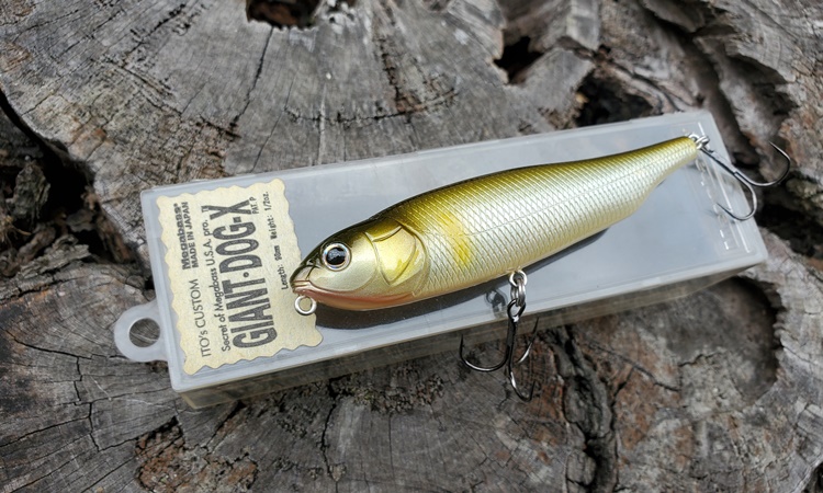 メガバス ito シグレ 限定 SP-C ヤマトタマムシ 新品未開封 【公式通販】