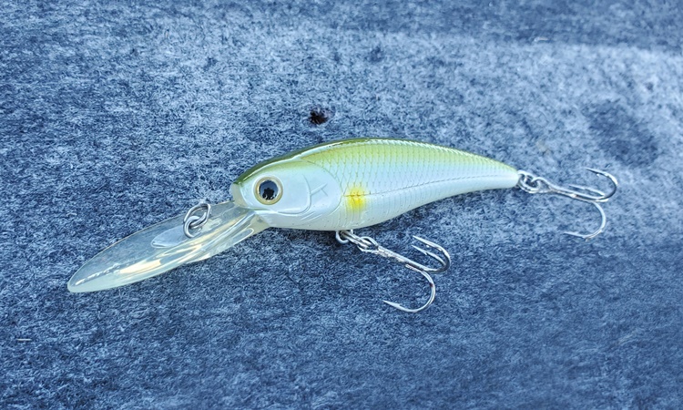 ラッキークラフト「ステイシー60SP」使用インプレッション。 – LureNote