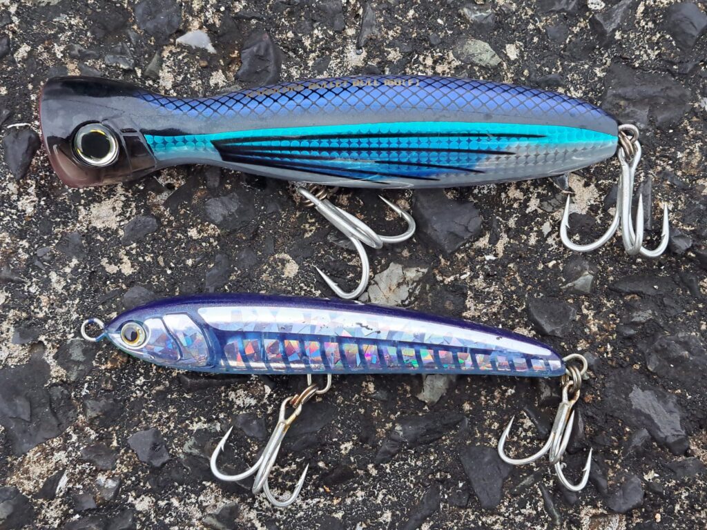 初心者必見 2024年度版おすすめショアジギングロッド7選 | ルアー