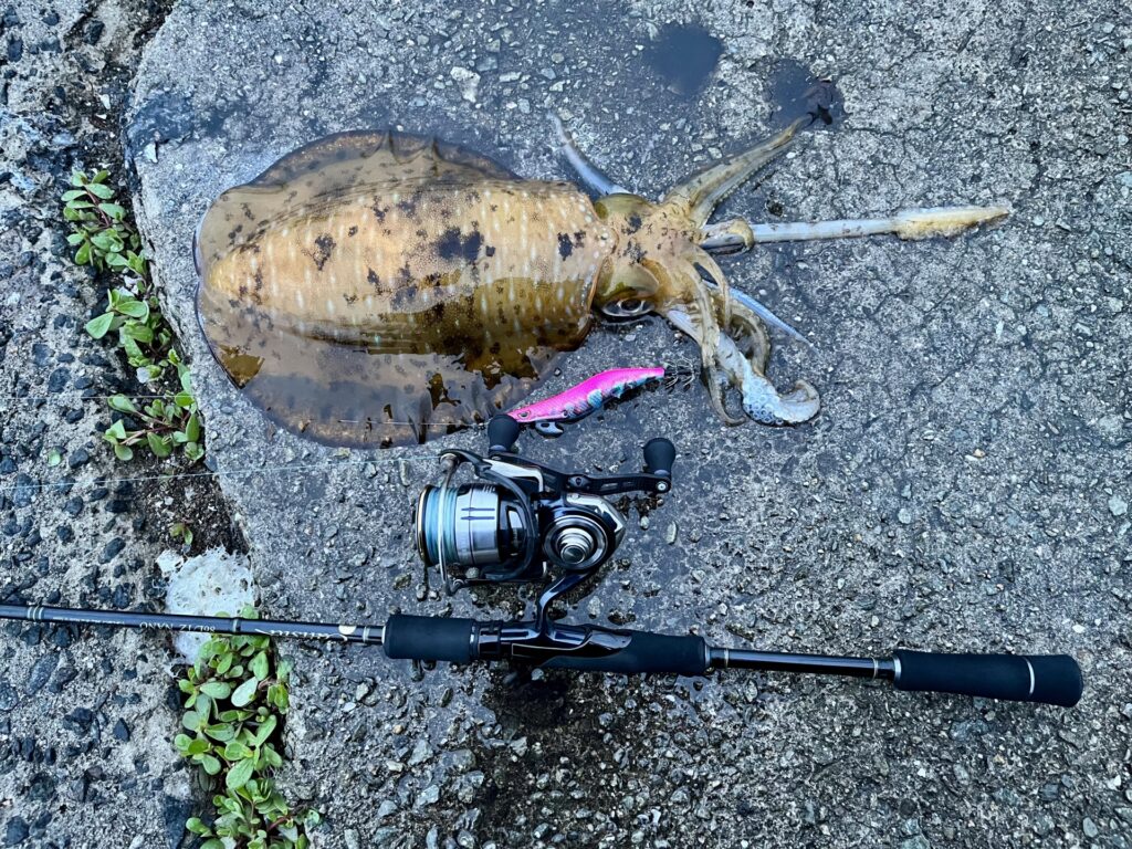 秋イカ最強のエギおすすめ10選！爆釣エギ2026年ランキング | Lure Zukan